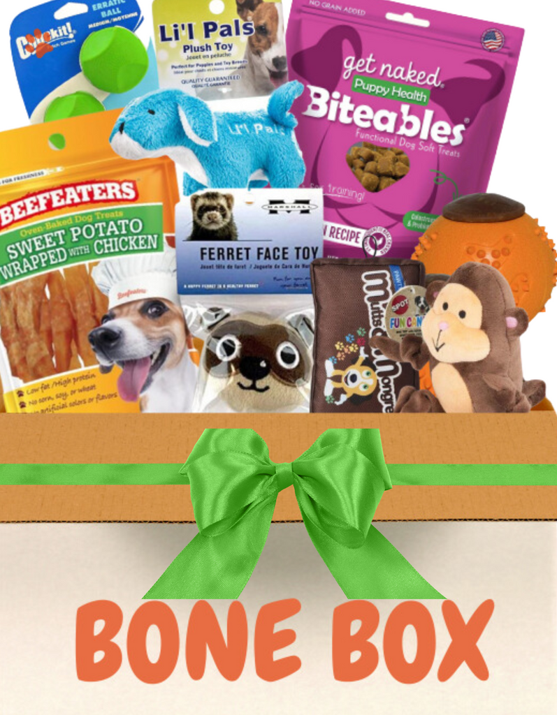 The Box - Chew Toys & Treat Puppy Gift Box