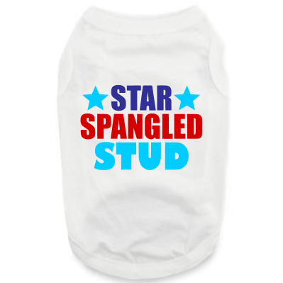Patriotic Attire: Star Spangle Stud