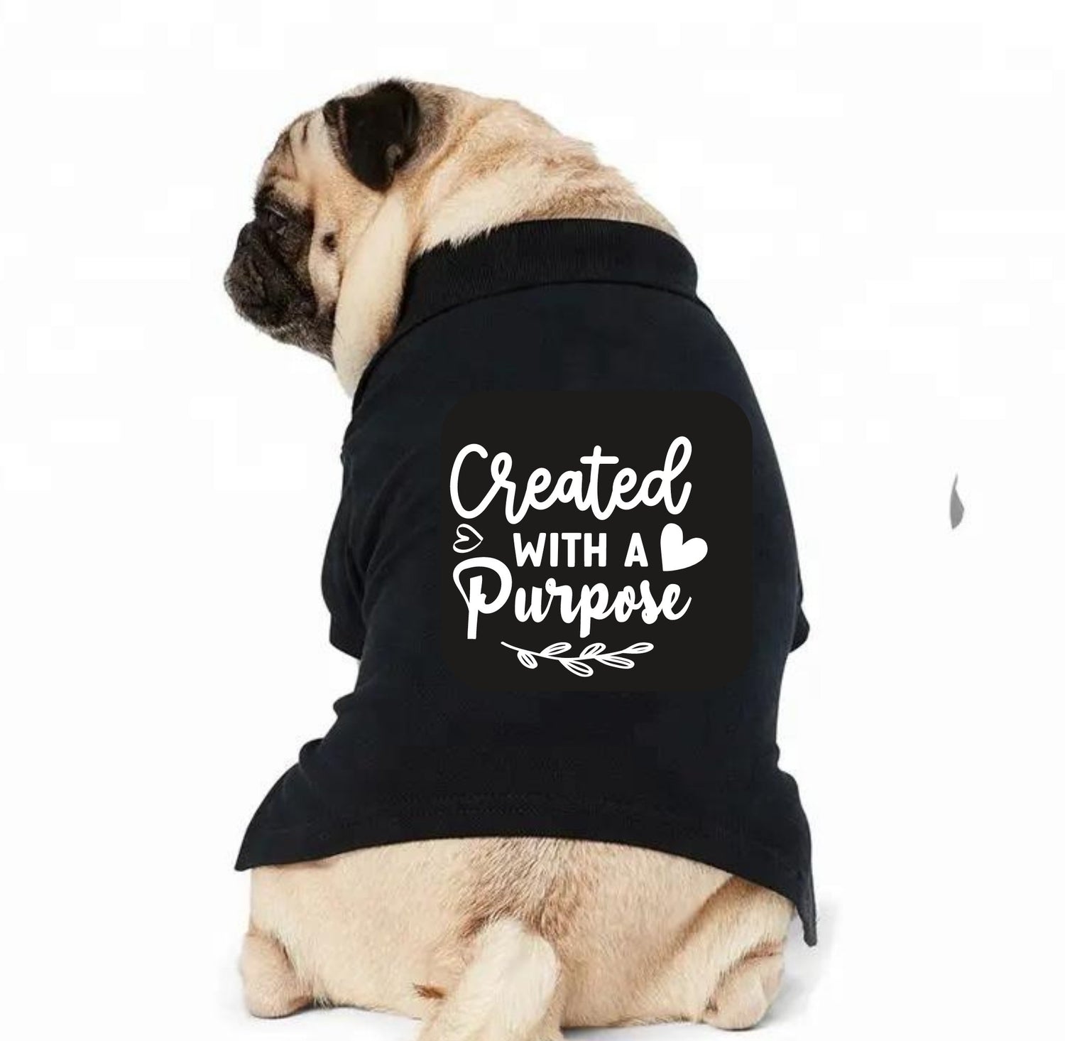 Funny Dog T-Shirts