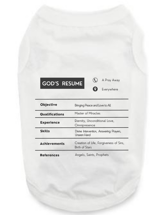 Funny Graphic Tee Shirts: God's Resume