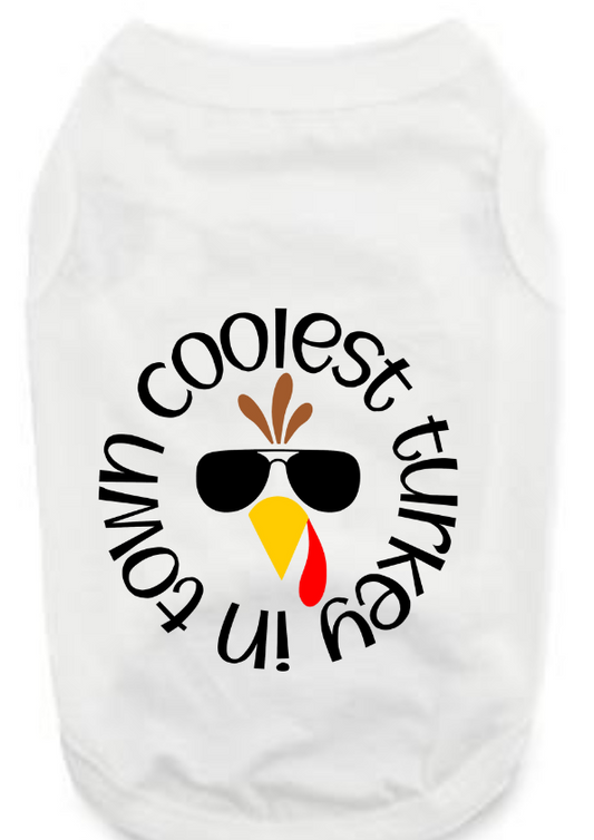 Funny Thanksgiving Tee Shirts- Coolest Turkey