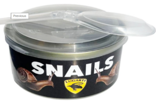 Lugarti Canned Snails Treat for Reptiles