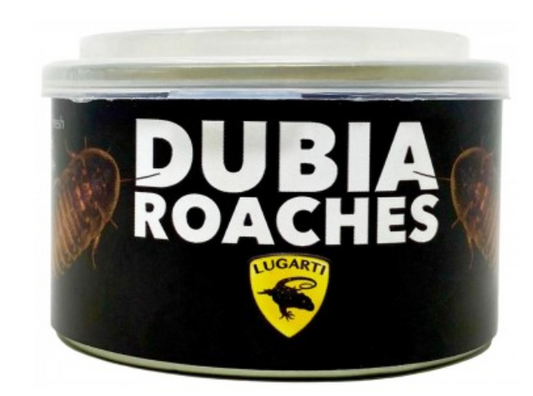 Lugarti Canned Dubia Roaches Treat for Insectivores