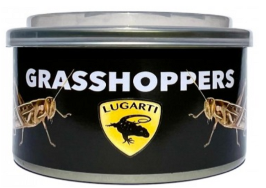 Lugarti Canned Grasshoppers Treat for Insectivores