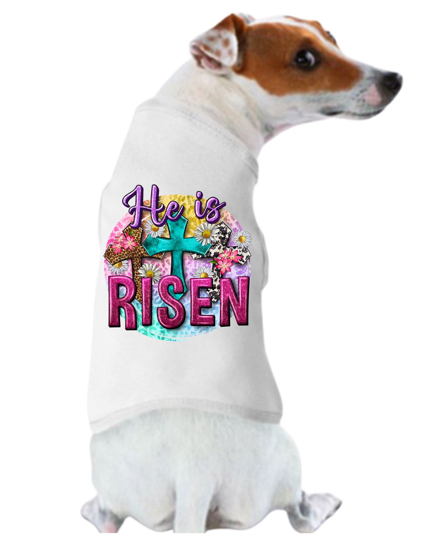 Easter Tee Shirts: He is Risen