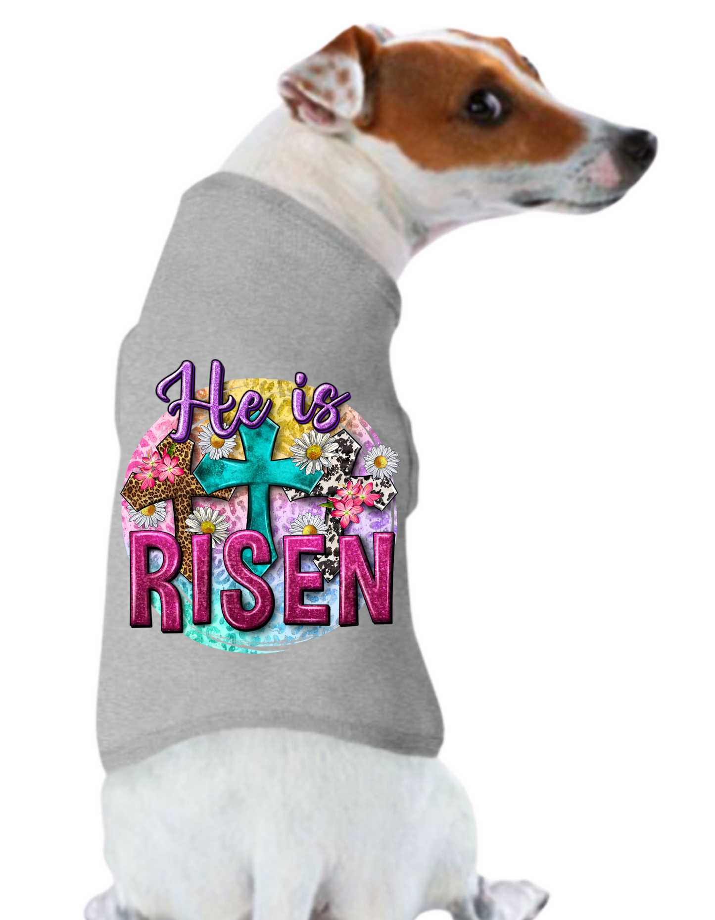 Easter Tee Shirts: He is Risen