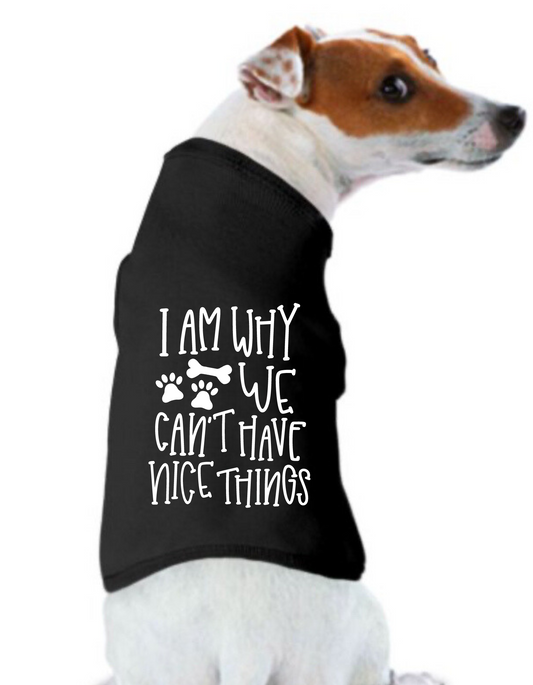 Funny Graphic Tee Shirts: I Am Why We Can't Have Nice Things