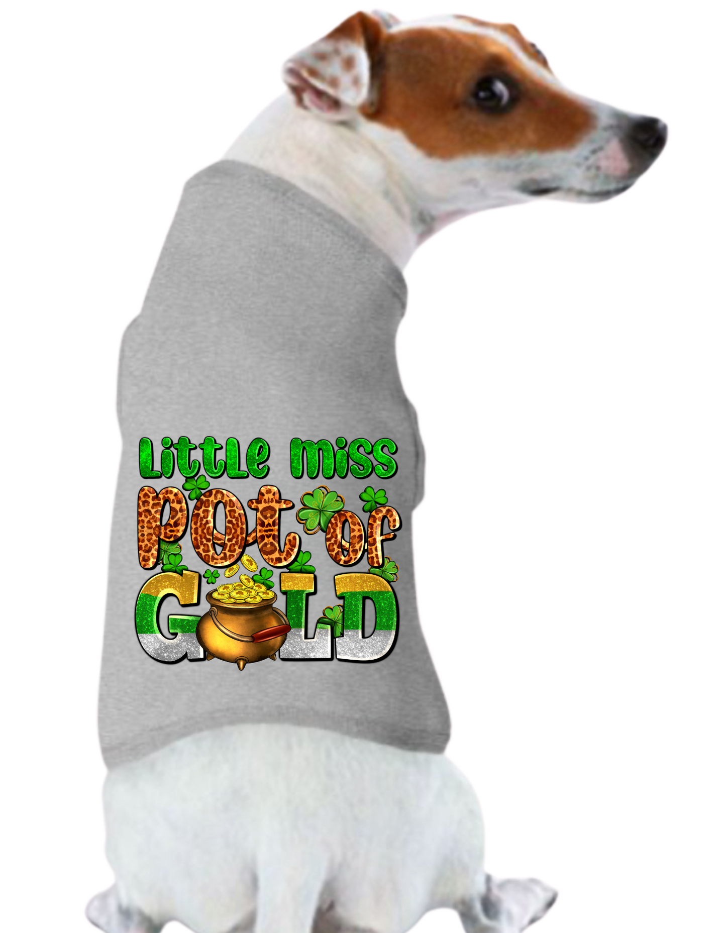 St. Patrick's Day Tee Shirt: Little Miss Pot Of Gold