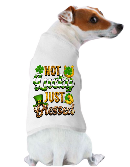 St. Patrick's Day Tee Shirt: Not Lucky Just Blessed