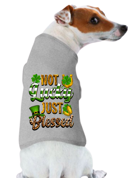 St. Patrick's Day Tee Shirt: Not Lucky Just Blessed