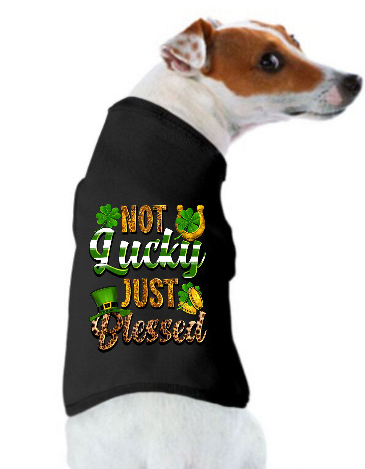 St. Patrick's Day Tee Shirt: Not Lucky Just Blessed