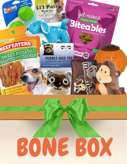 Dog Toy and Treat Box