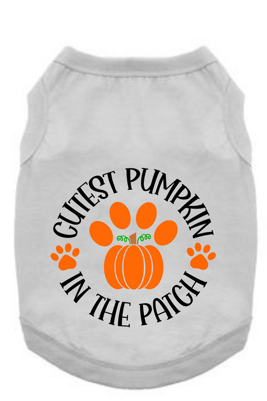 Funny Halloween Tee Shirts- Cute Pumkin Patch