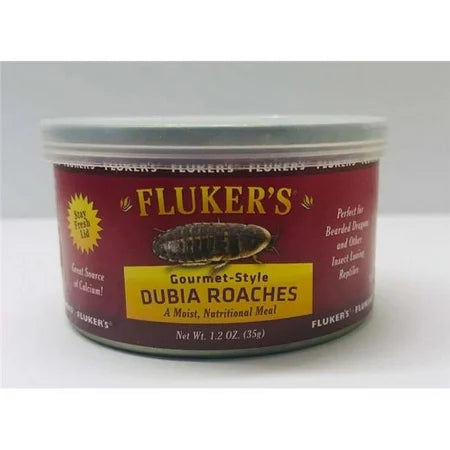 Flukers Gourmet Style Dubia Roaches