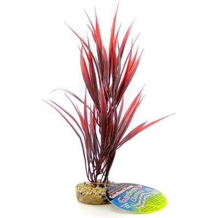 Blue Ribbon Sword Plant with Gravel Base - Red 10"