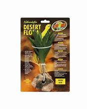 Zoo Med Naturalistic Desert Flora Green Aloe Terrarium Plant