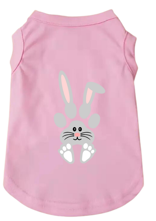 Easter Tee Shirts: Bunny