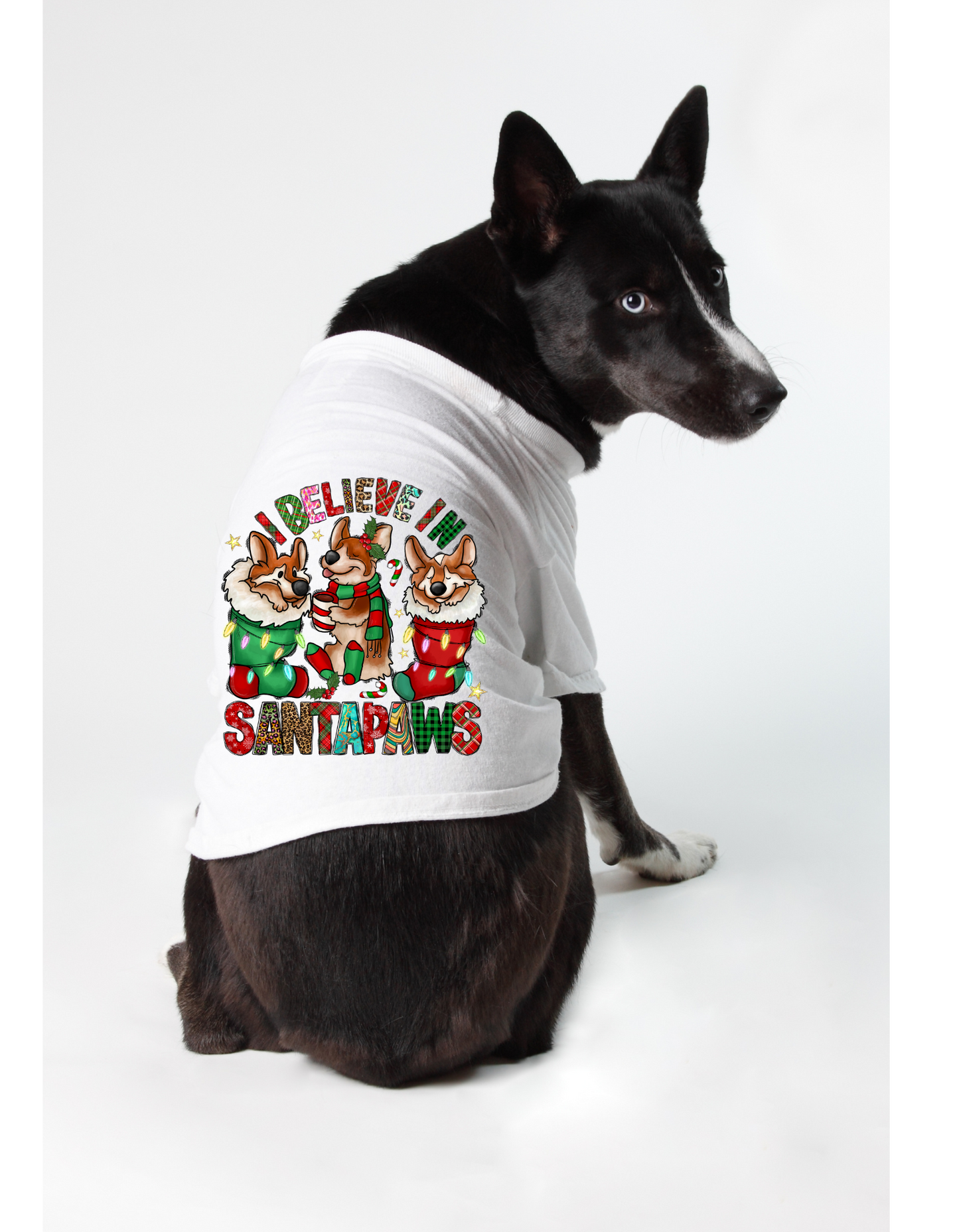 Christmas Funny Dog T-Shirt: I Believe Santa Paws