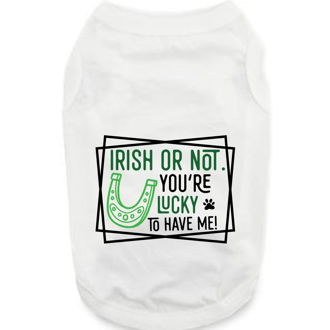 St. Patrick's Day Tee Shirt: Lucky to Have Me