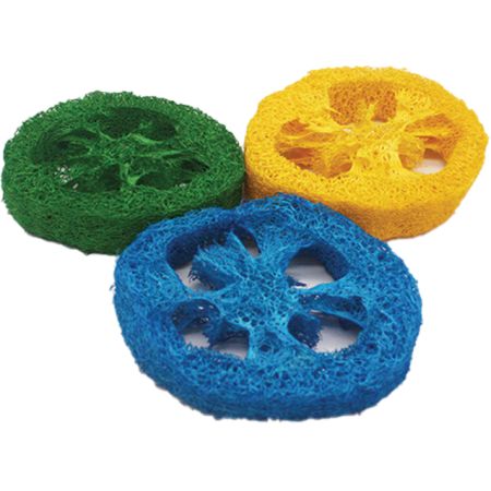 AE Cage Company Nibbles Loofah Slice Chew