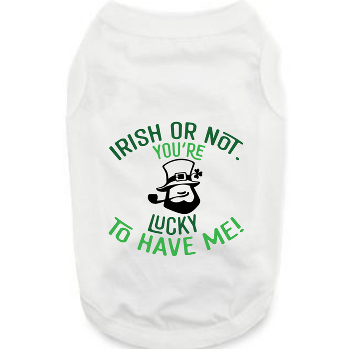 St. Patrick's Day Tee Shirt: Lucky to Have Me