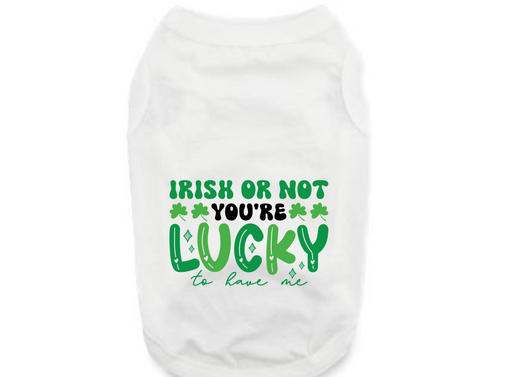 St. Patrick's Day Tee Shirt: Irish Or Lucky