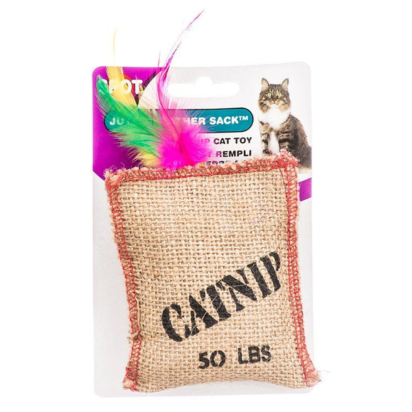 https://petstorenmore.com/cdn/shop/products/spot-jute-feather-sack-with-catnip-cat-toy_grande.jpg?v=1604978251