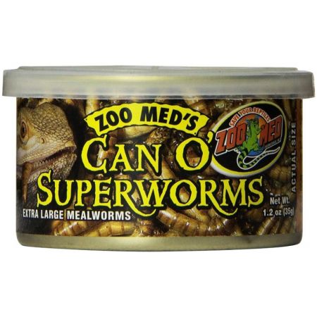 Zoo Med Can O Superworms Extra Large Mealworms - PetStoreNMore